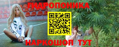 дурь Можга